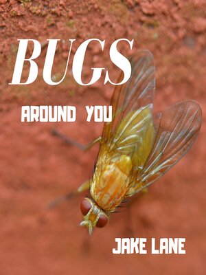 cover image of Bugs Around You